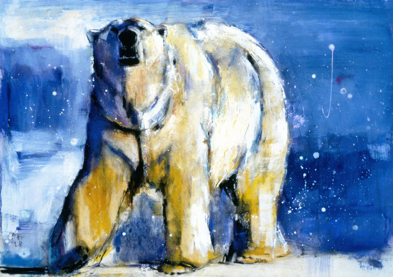 Aurores boréales, 1998 - Mark Adlington