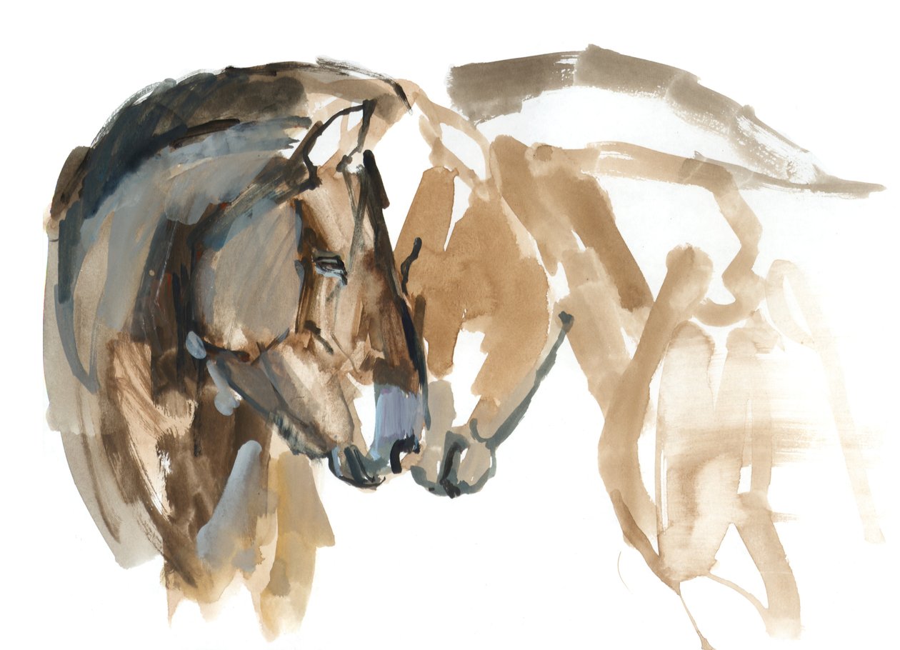 Nez à Nez (Przewalski), 2013 - Mark Adlington