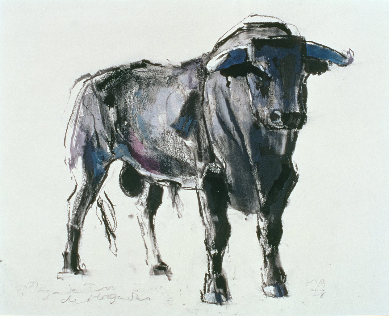 Plaza de Toros de Miajadas, 1998 - Mark Adlington