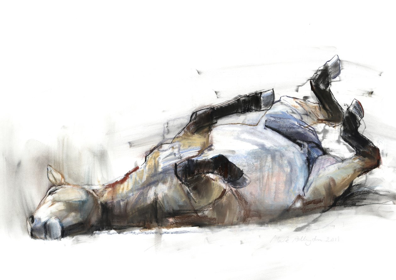 Rouler Rouler Rouler, 2011 - Mark Adlington
