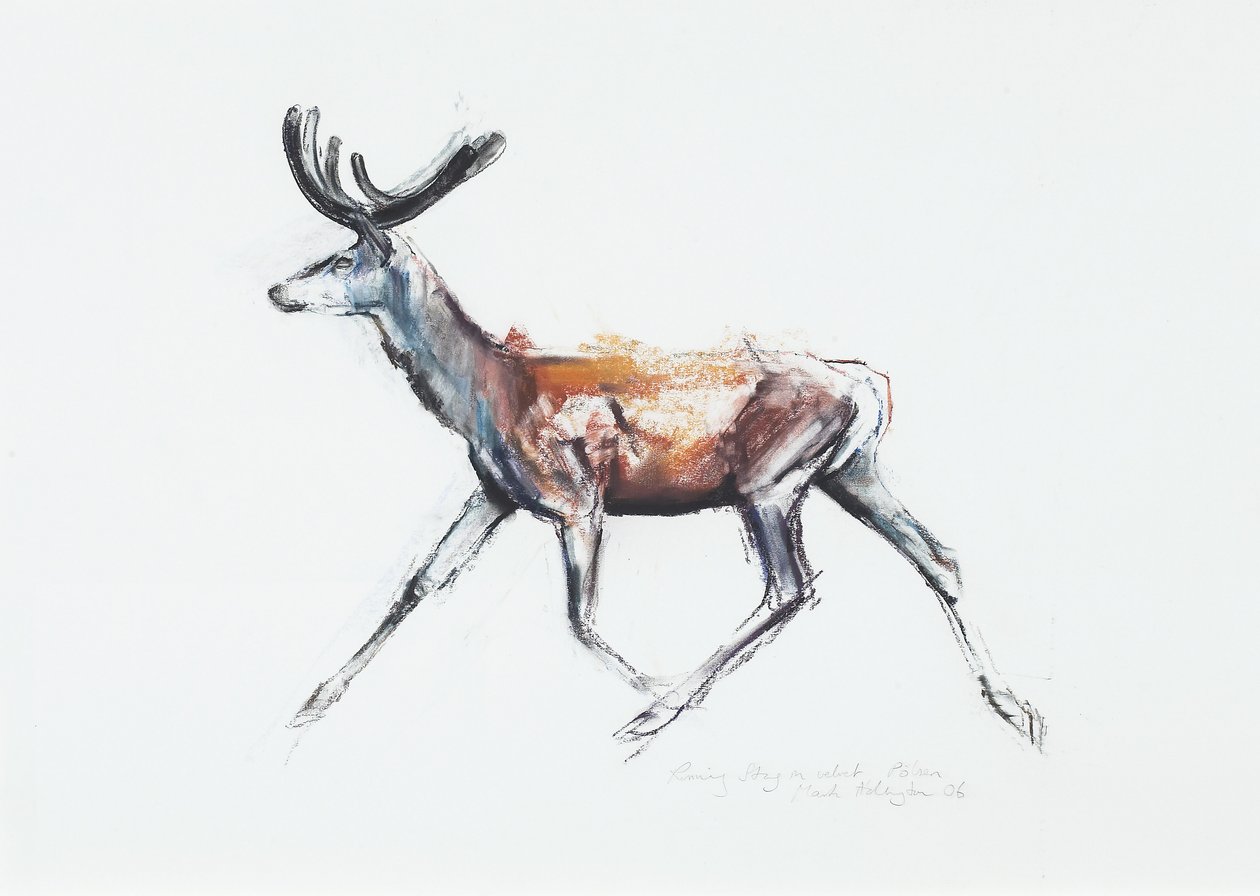 Cerf courant en velours, Polsen, 2006 - Mark Adlington