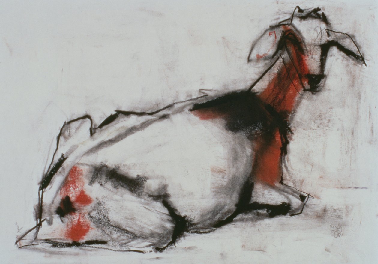 Chèvre Assise, 1998 - Mark Adlington