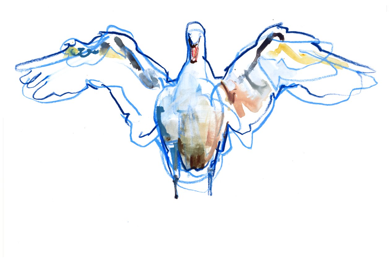Ailes déployées, 2022 - Mark Adlington