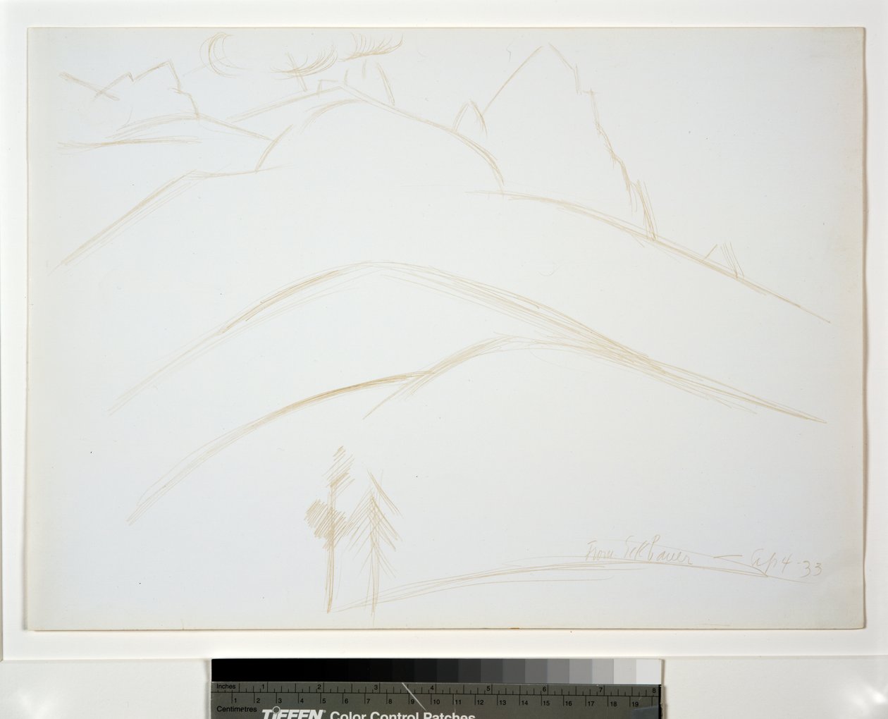 Paysage de montagne avec deux pins - Marsden Hartley