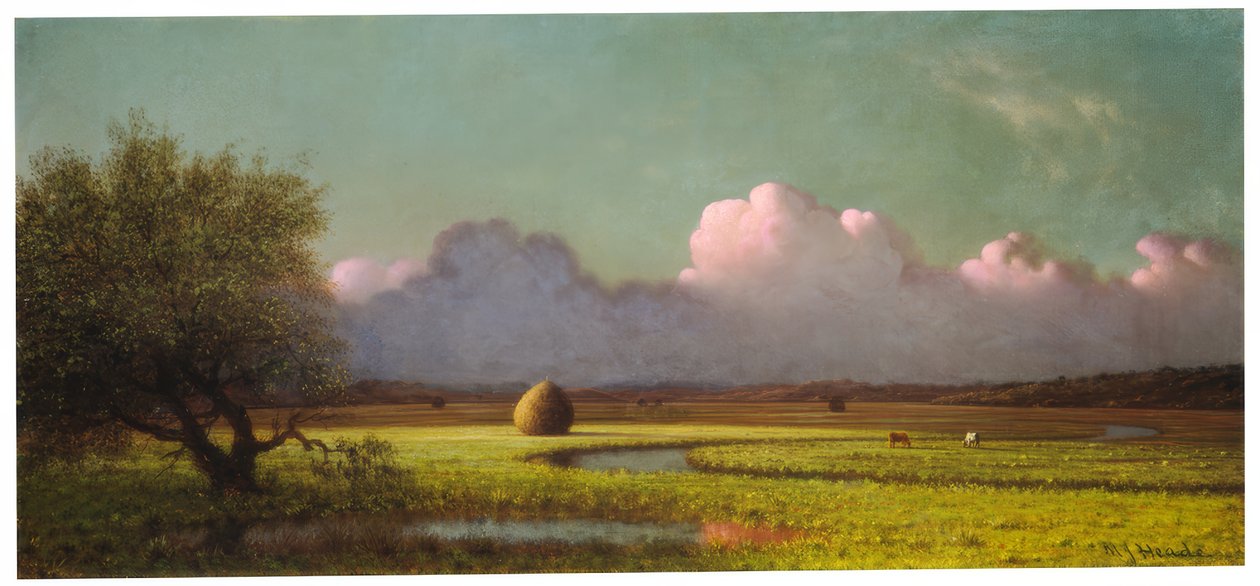 Lumière du soleil et ombre : Les marais de Newbury - Martin Johnson Heade