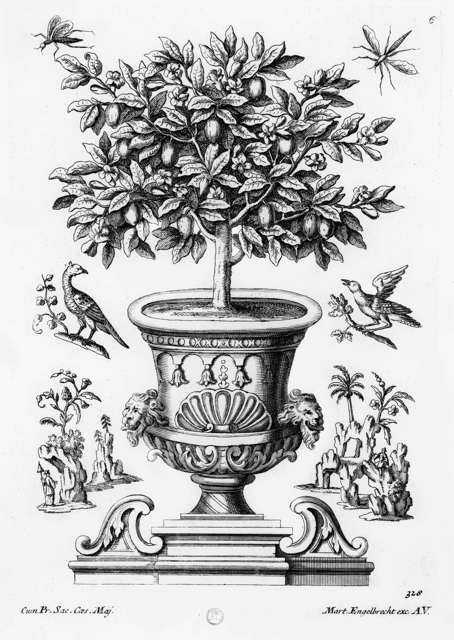 Orangers, vers 1735 - Martin Engelbrecht