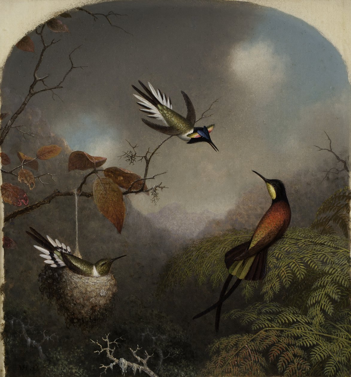 Colibris : Deux gemmes et un topaze cramoisi, 1866 - Martin Johnson Heade