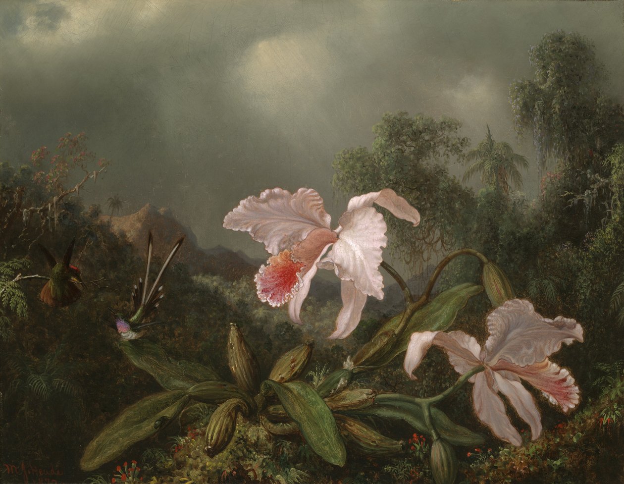 Orchidées de la jungle et colibris, 1872 - Martin Johnson Heade
