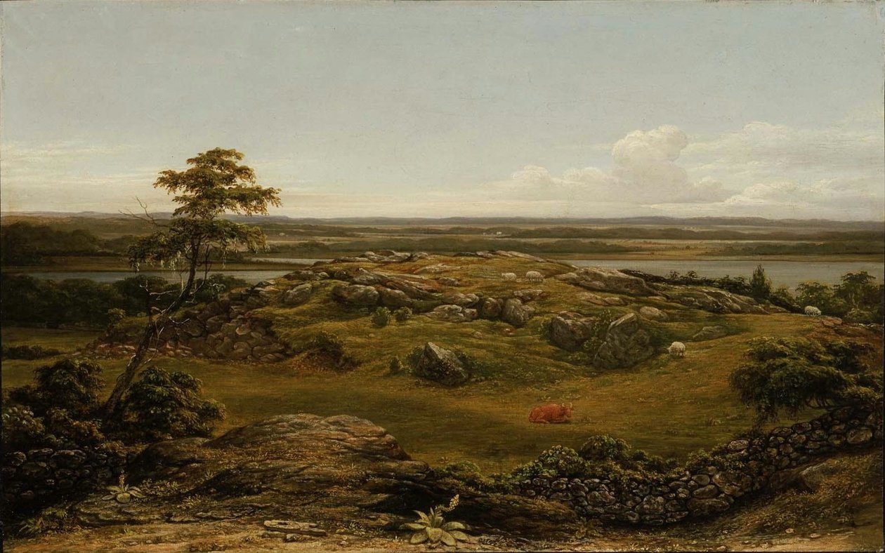 Roches en Nouvelle-Angleterre - Martin Johnson Heade