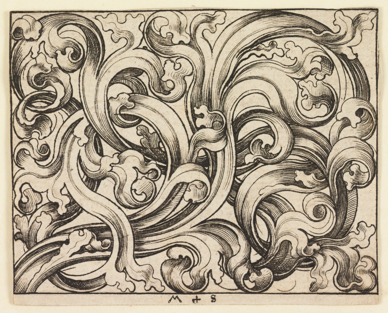 Ornement horizontal sur fond clair - Martin Schongauer