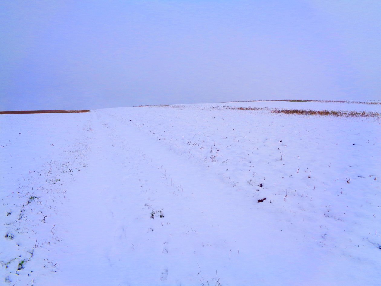 Champs en hiver - Martina Konitzky