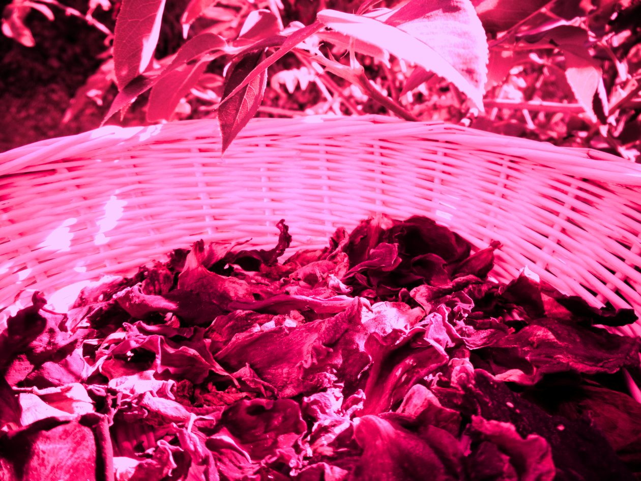 Pétales de rose pot-pourri - Martina Konitzky