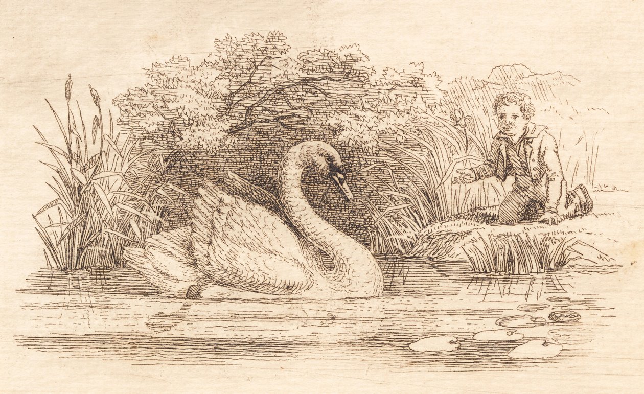 Illustration pour "Halvhundrede Fabler for Børn" de Hey - Martinus Rørbye