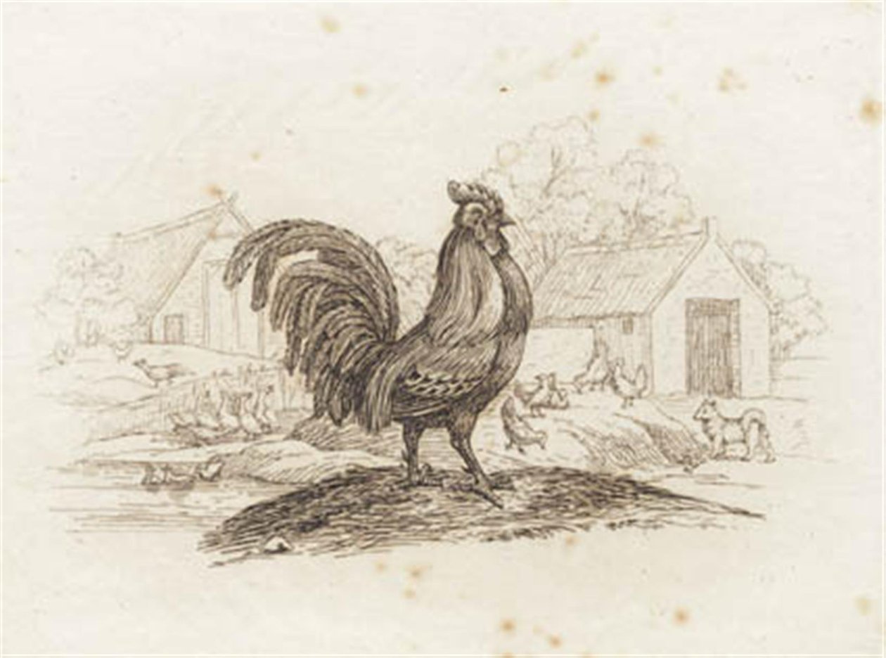 Illustration de "Cinquante fables pour enfants" de Hey - Martinus Rørbye