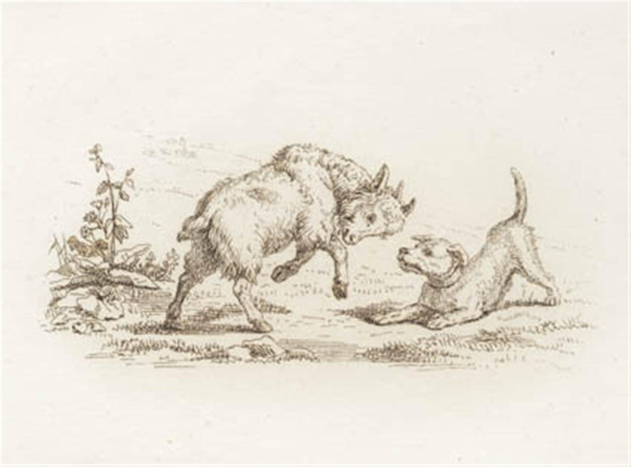 Illustration pour "Cinquante fables pour enfants" de Hey - Martinus Rørbye