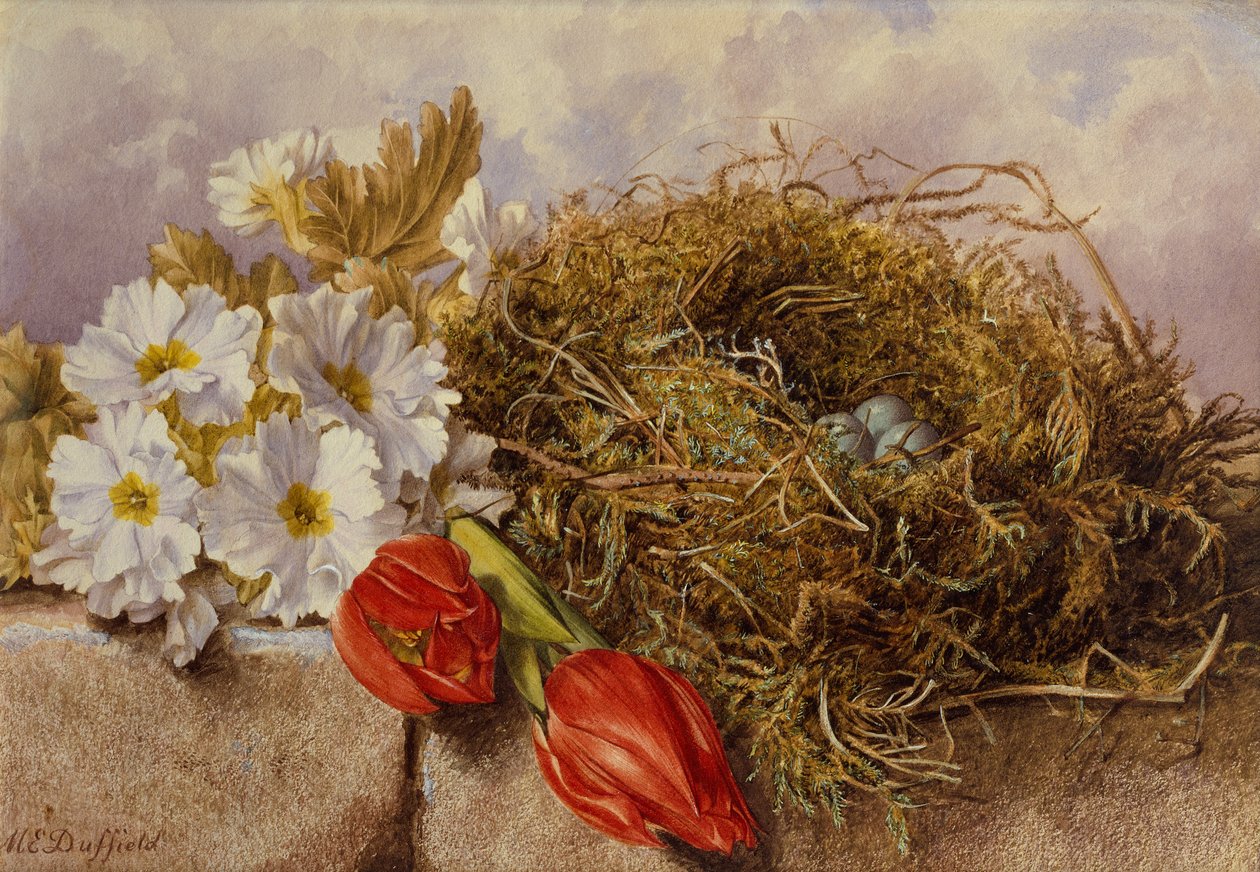 Nature morte de tulipes en fleurs et un nid d