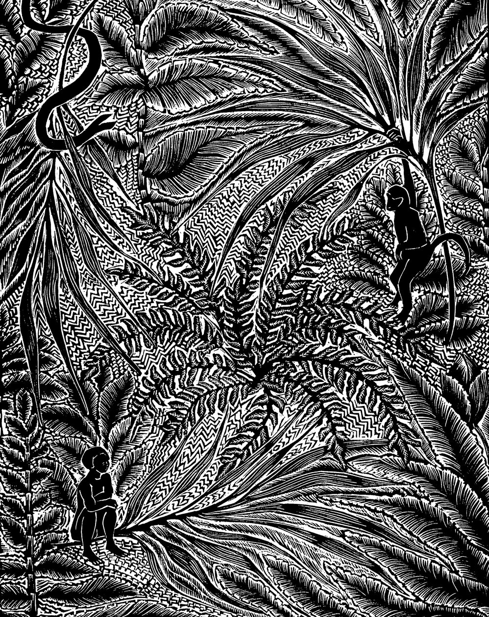 Jungle - Mary Kuper