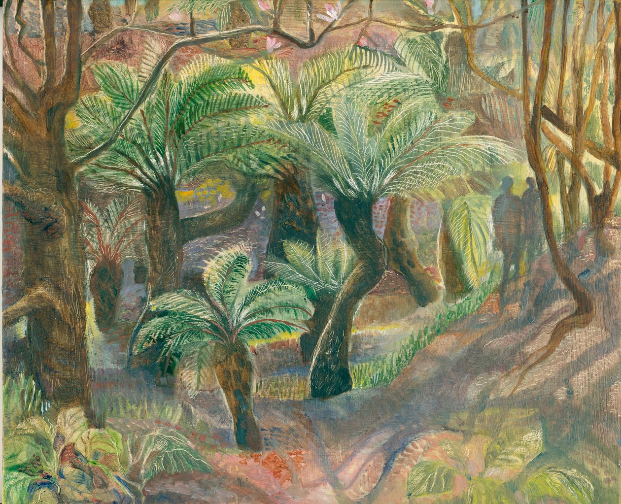 Fougères arborescentes, Trewidden, 2012 - Mary Kuper