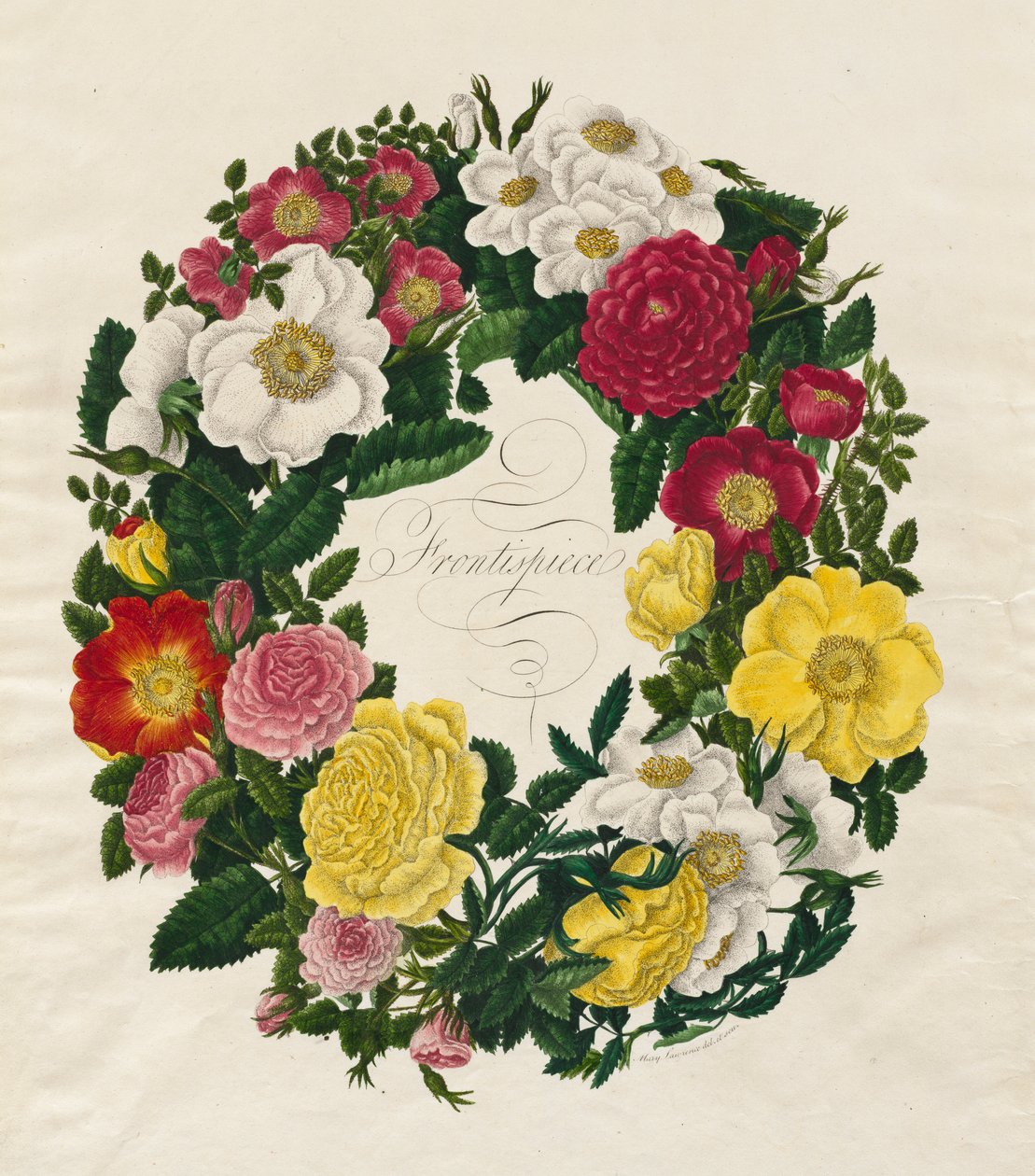 Une couronne de roses, 1799 - Mary Lawrence