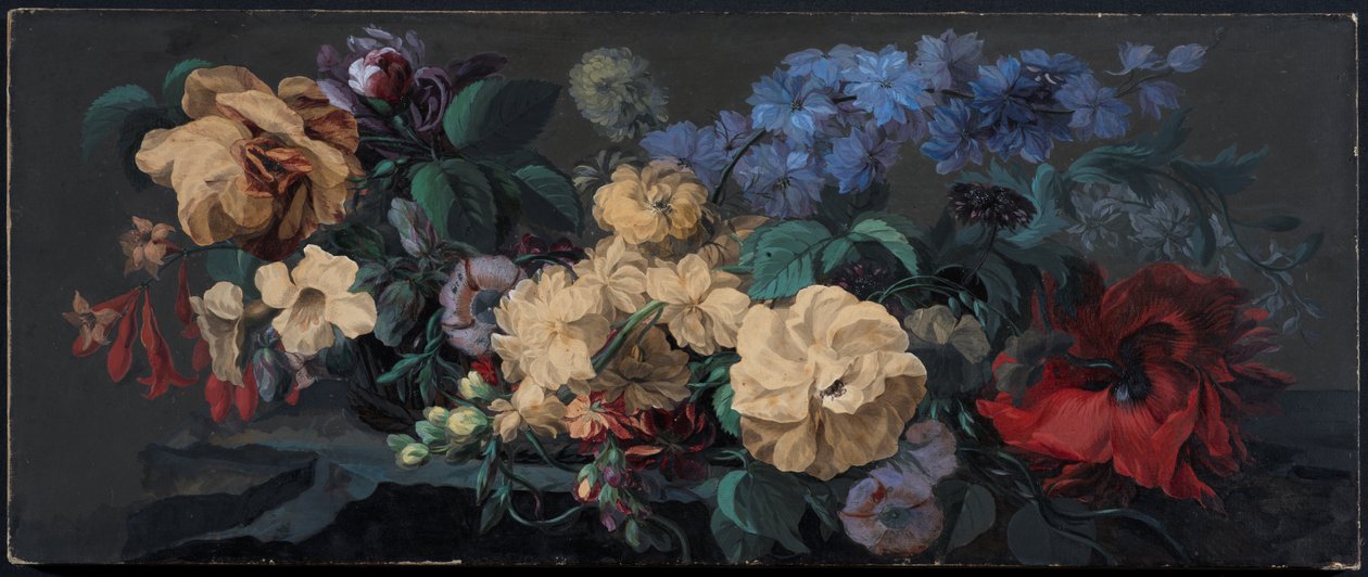 Fleurs d