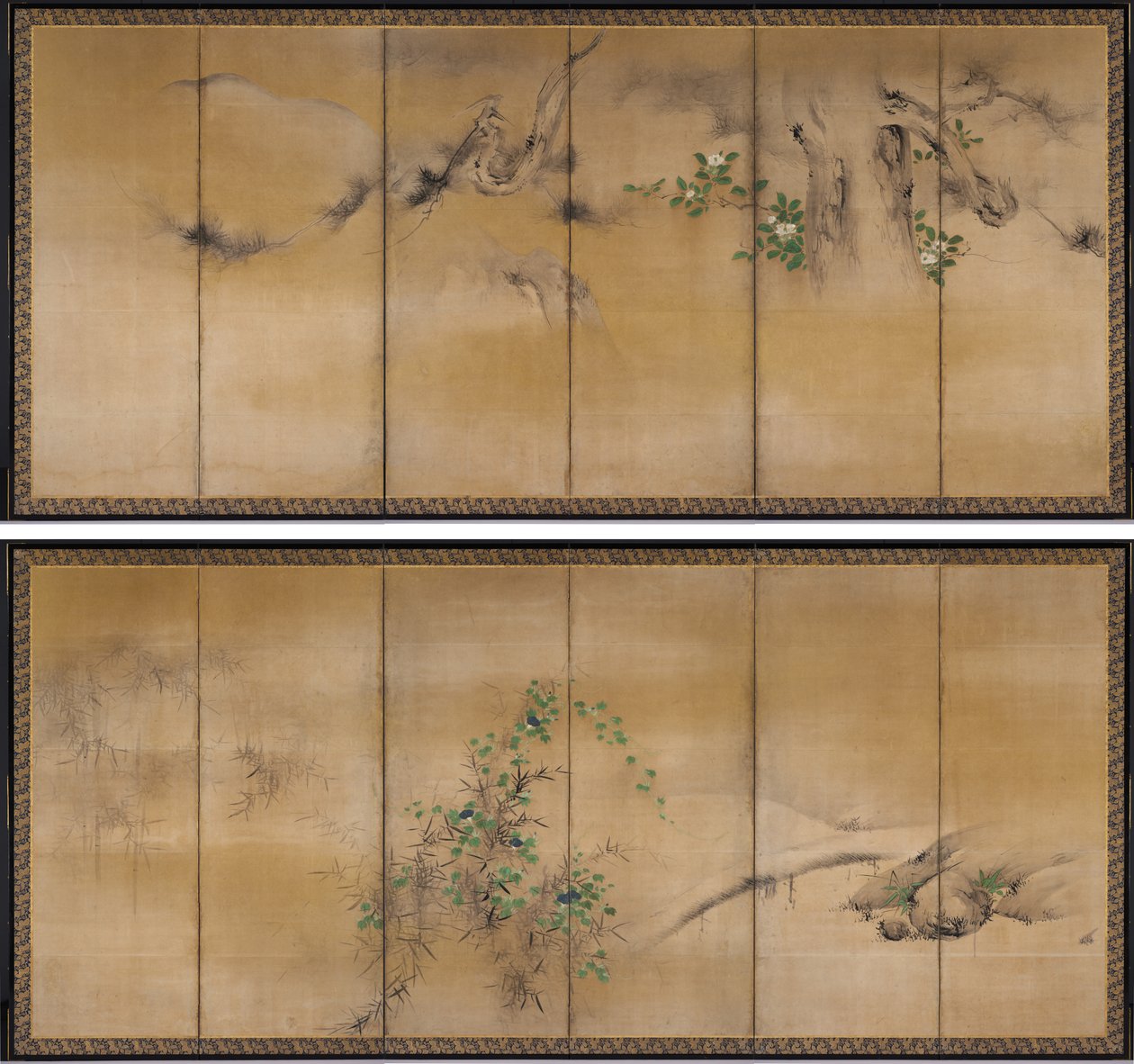 Fleurs d