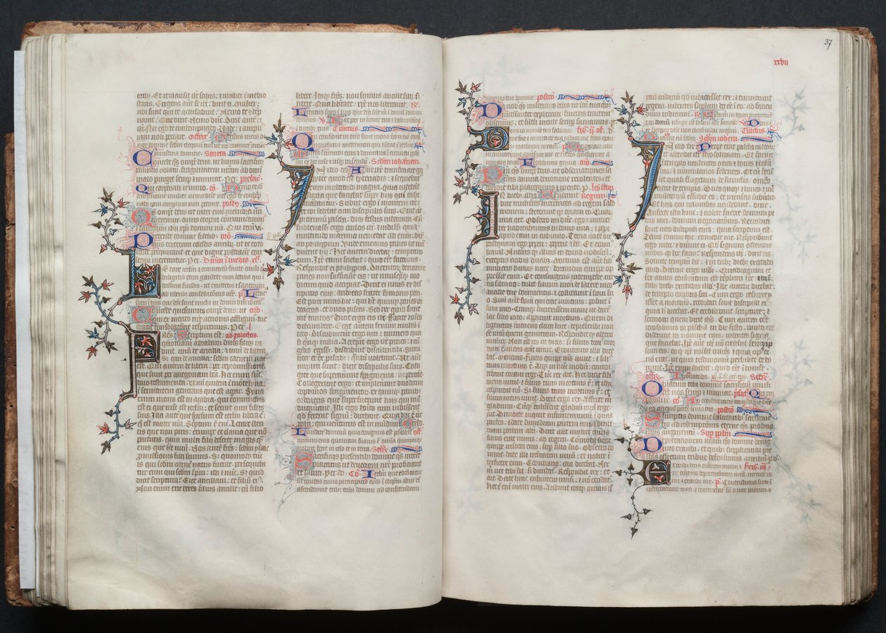 Le Missel de Gotha : Fol. 36v, Texte - Master of the Boqueteaux
