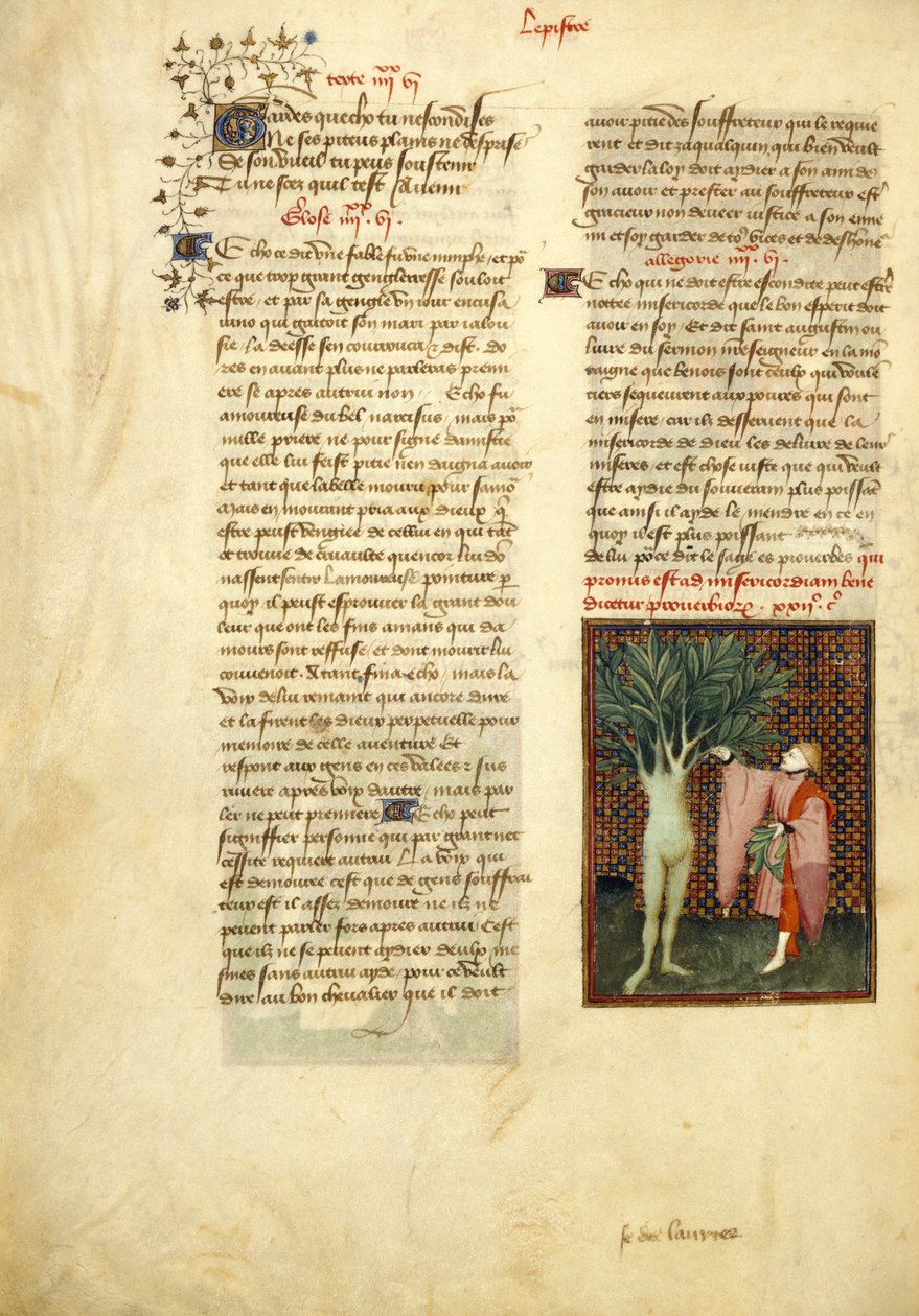 Apollon et Daphné, des 