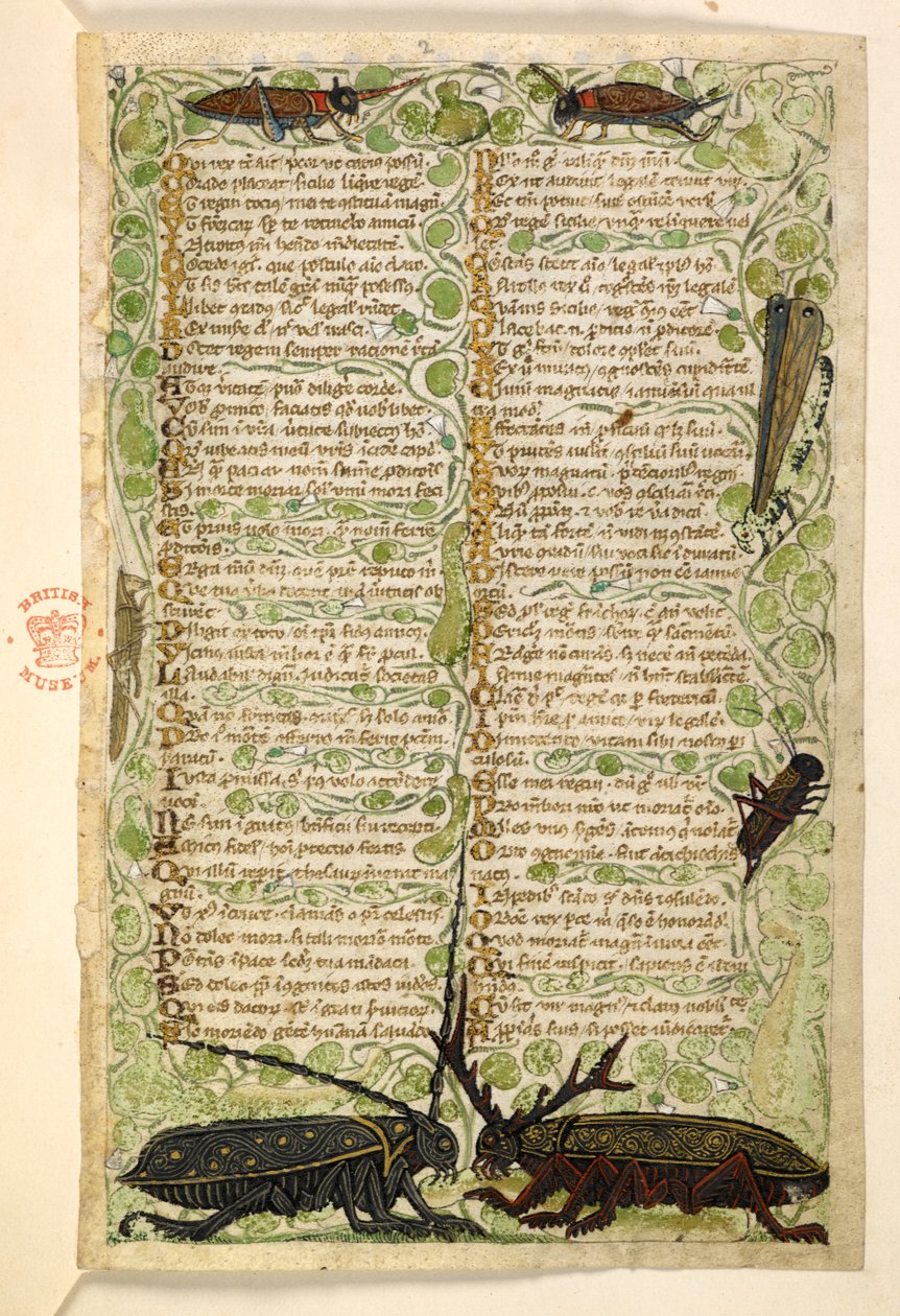 Coléoptères cornus, grillons et criquet. Traité sur les vertus et les vices, et une histoire anonyme en prose de la Sicile (fragment) - Master of the Cocharelli Codex
