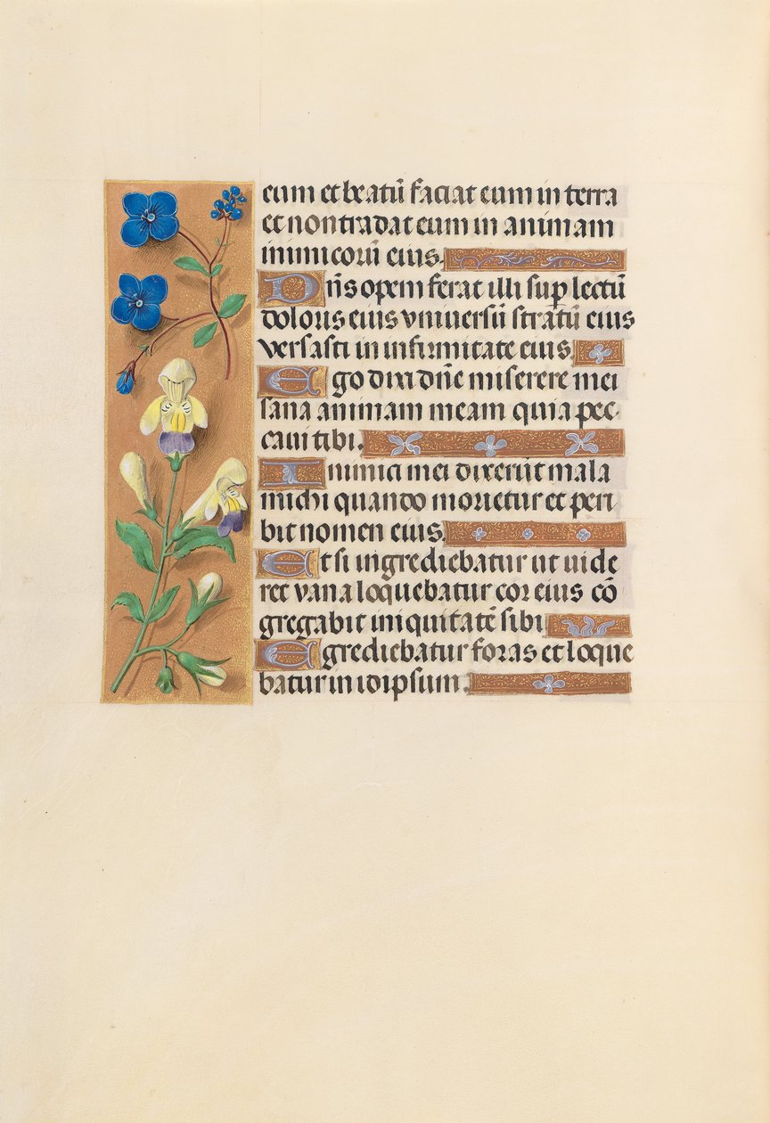 Heures de la reine Isabelle la Catholique, reine d