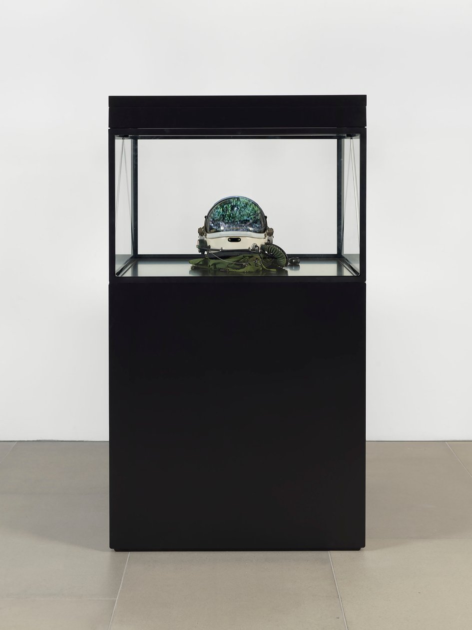 Alpha Omega, 2016 (verre, écran LCD, lecteur multimédia, réplique de crâne, casque spatial, bois) - Mat Collishaw