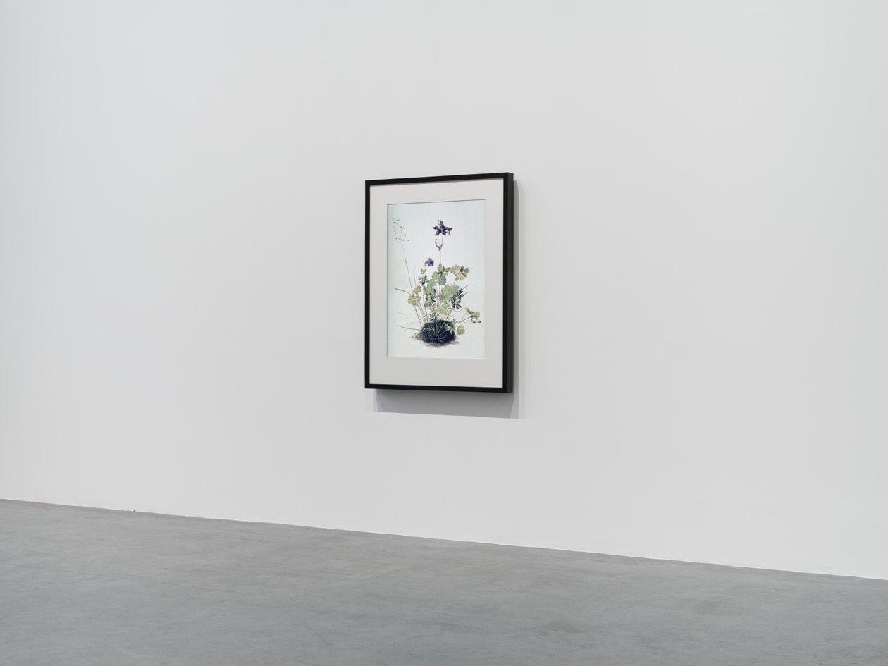 Columbine, 2018 (cadre en bois, bordure, écran LCD, ventilateur et lecteur multimédia) - Mat Collishaw