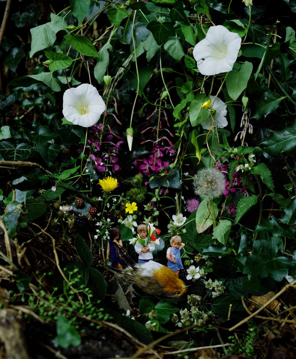 Spiritueux hors taxes - Mat Collishaw