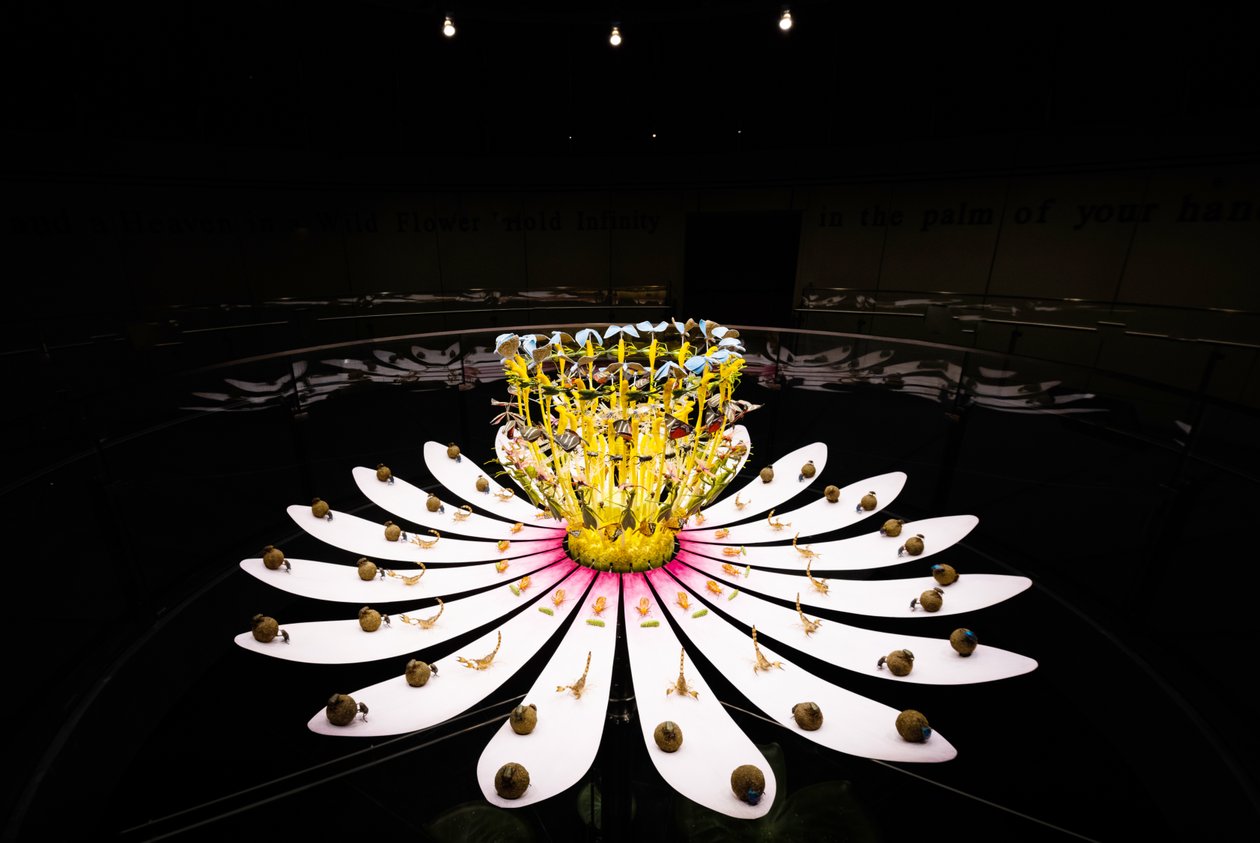 Equinox, 2021 (Acrylique, Circuit électrique, Hydraulique, Laque, Moteur, Peinture, Résine recyclée, Acier) - Mat Collishaw