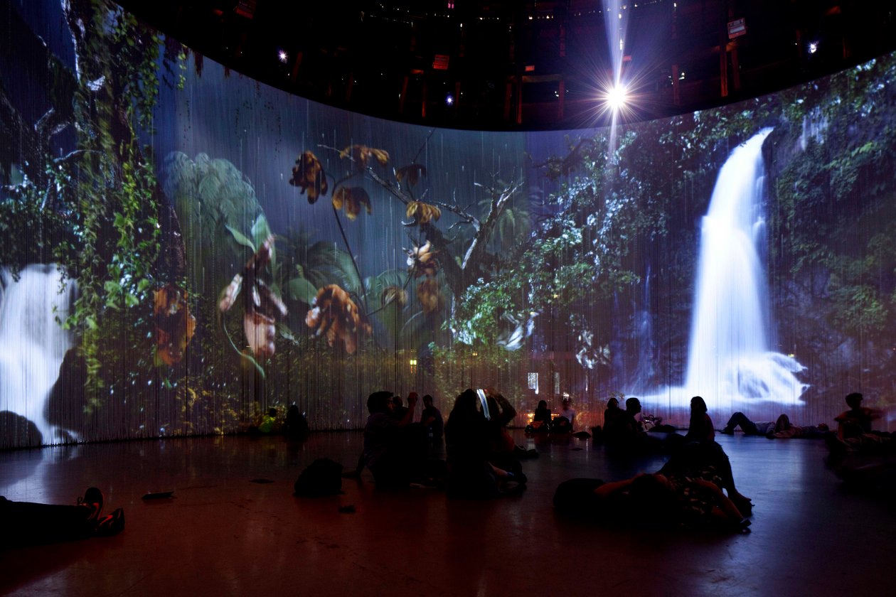 Sordid Earth, 2011 (Installation vidéo, disque dur, silicone, acier, etc. - Mat Collishaw