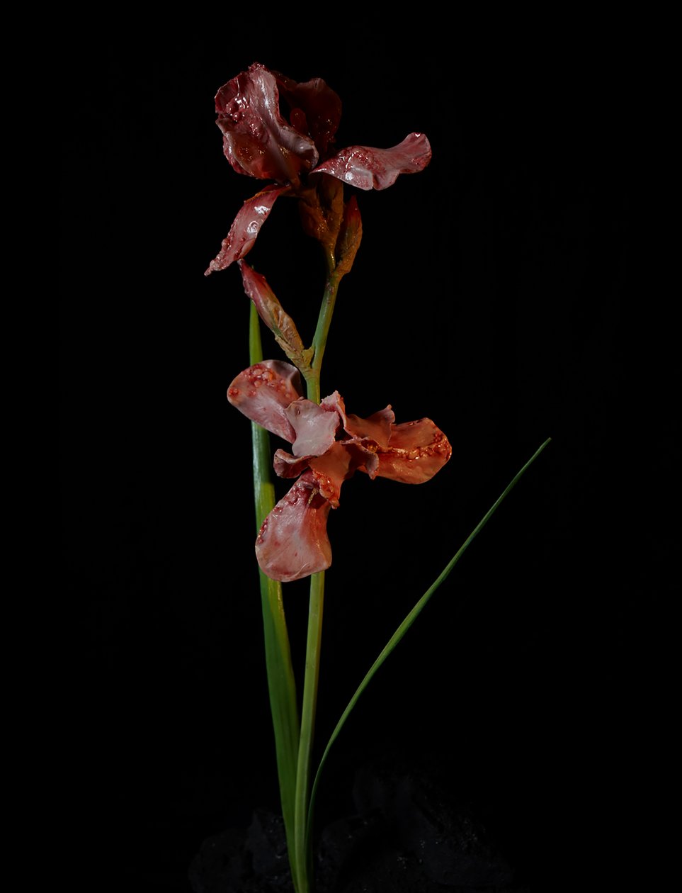 Muse vénale, Viridor, 2012 (résine, peinture émaillée, bois, verre, acier) - Mat Collishaw