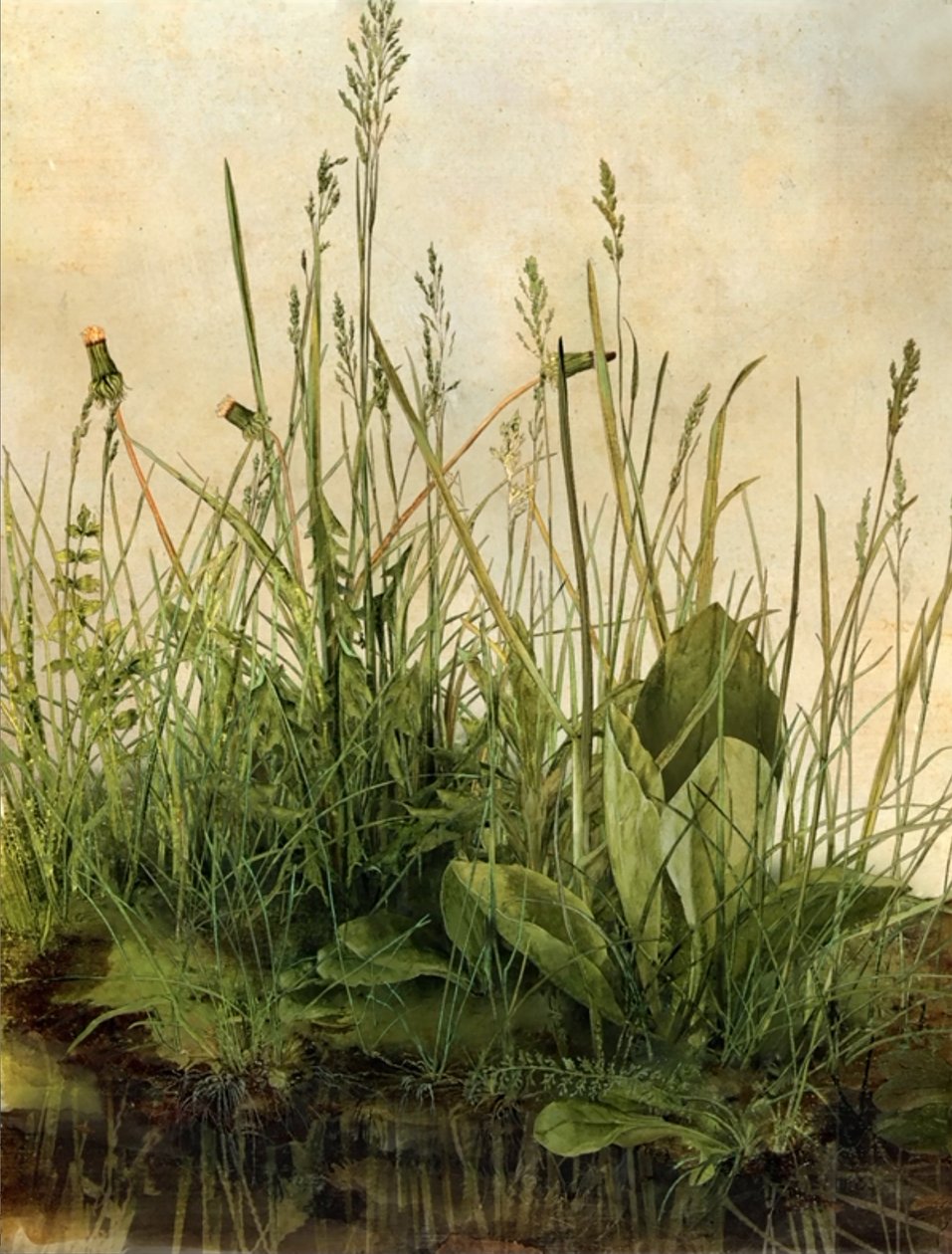 Whispering Weeds, 2011 (cadre en bois, bordure, écran LCD, ventilateur et disque dur) - Mat Collishaw