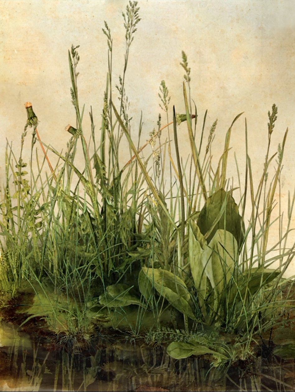 Whispering Weeds, 2011 (cadre en bois, bordure, écran LCD, ventilateur et disque dur) - Mat Collishaw