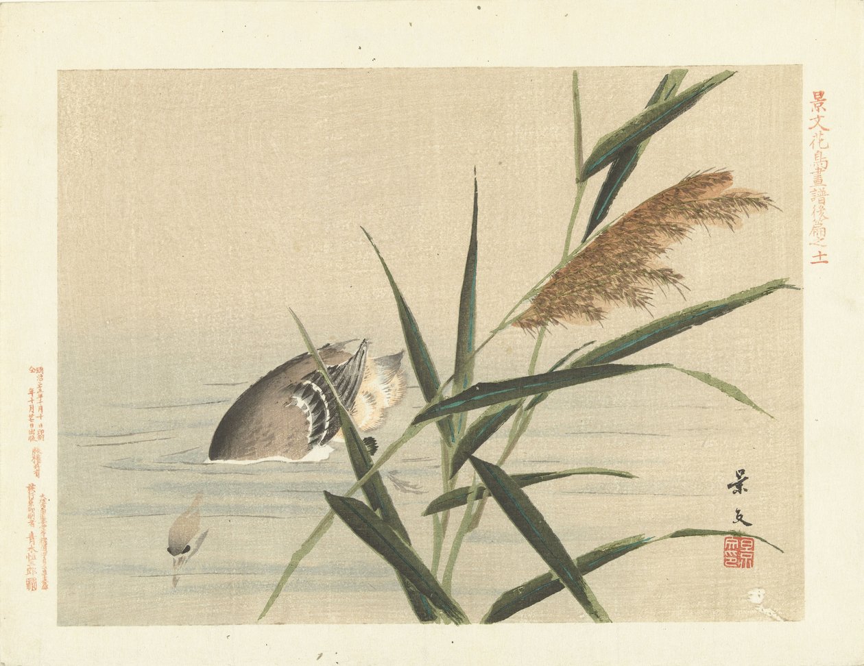 Canard plongeant près des roseaux - Matsumura Keibun