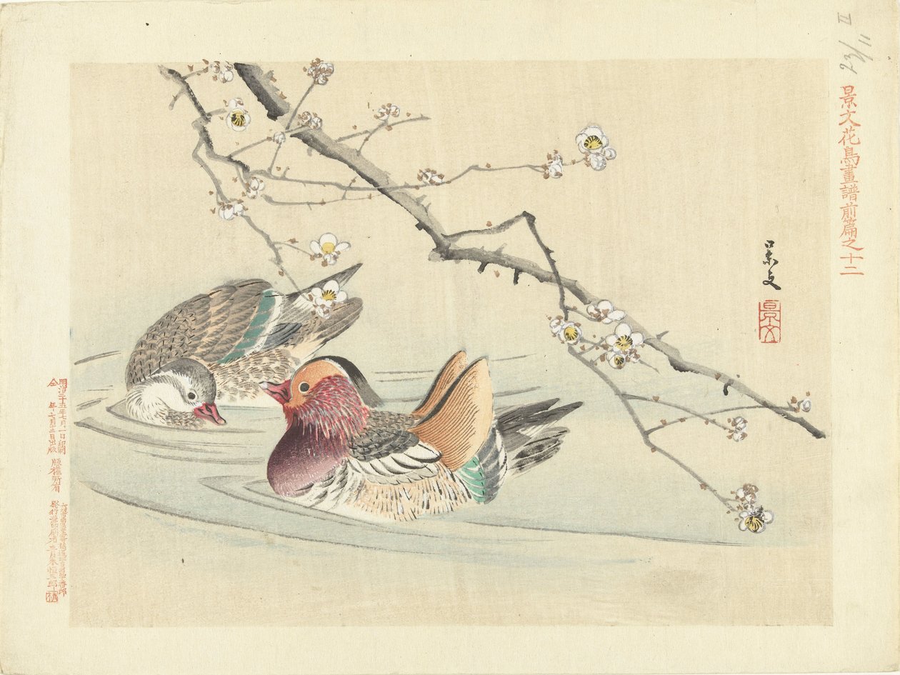 Deux canards - Matsumura Keibun