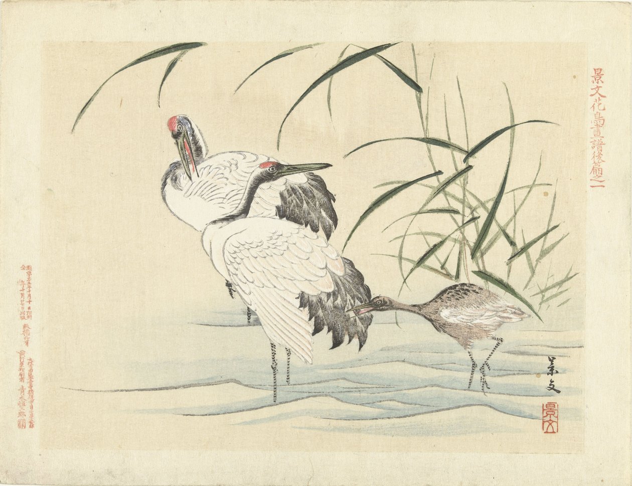 Deux grues avec un jeune (Bloemen- en vogelschetsen van Keibun- deel drie) - Matsumura Keibun
