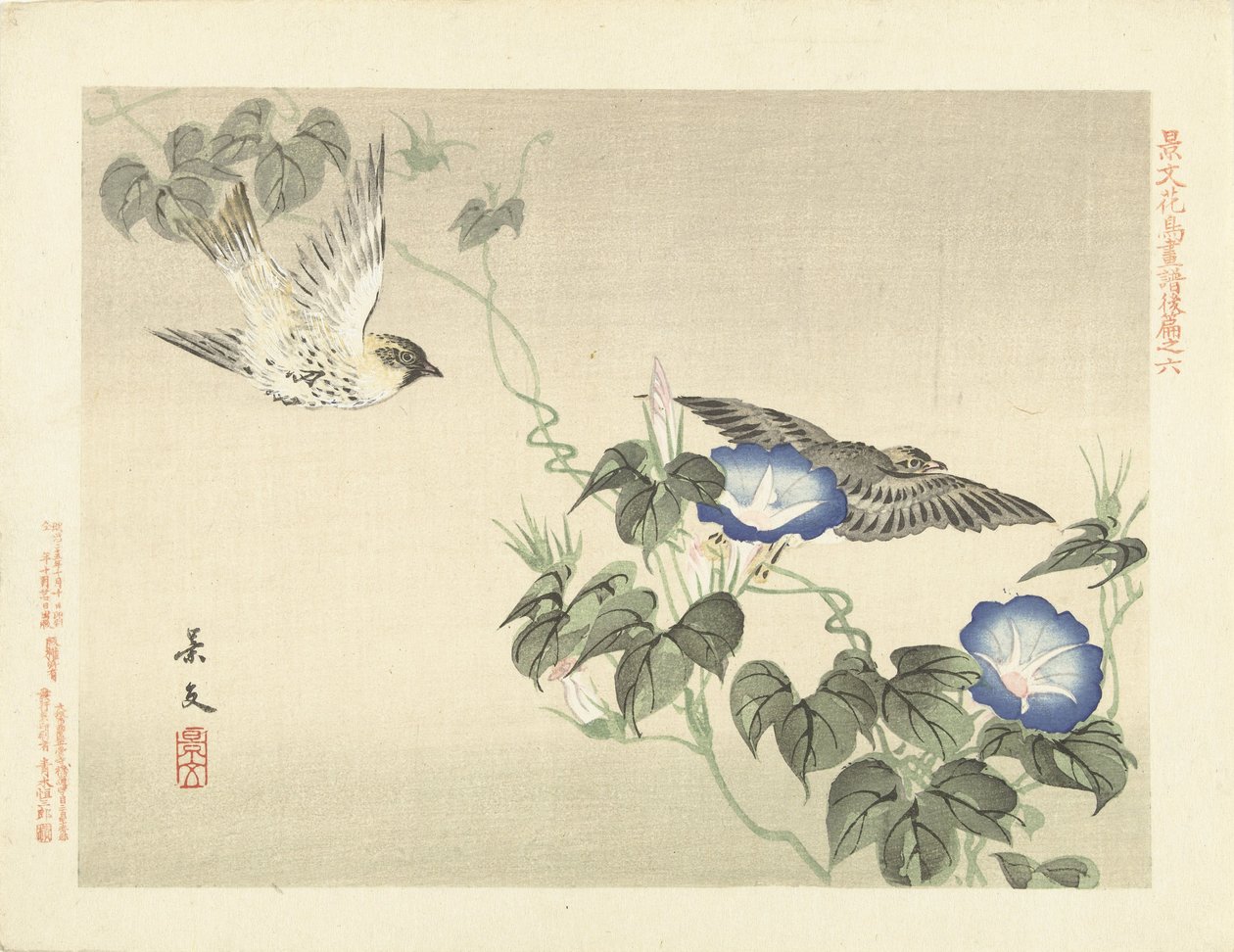 Deux oiseaux volant près d