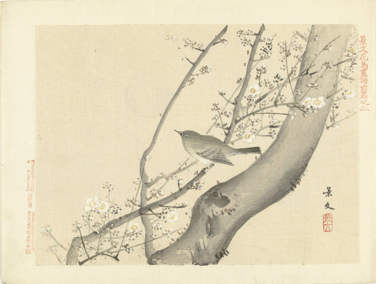 Petit oiseau dans un arbre avec des fleurs blanches - Matsumura Keibun