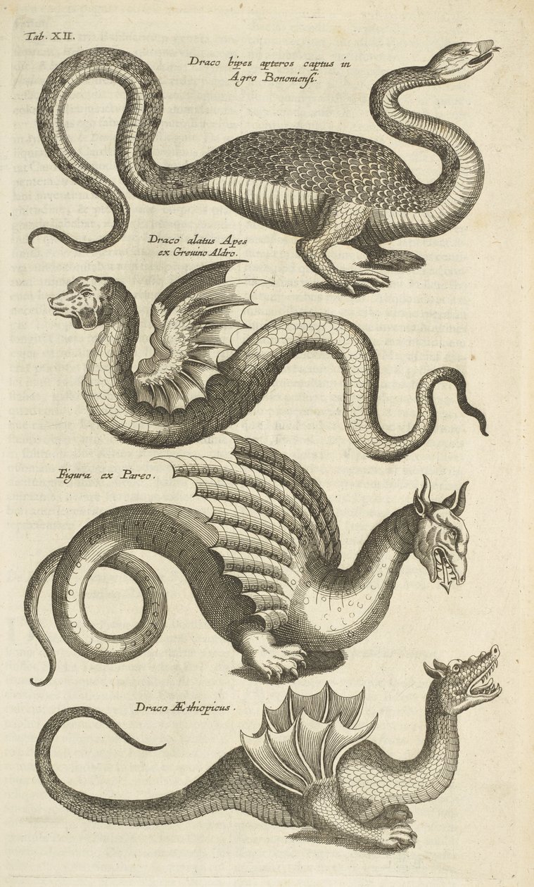 Tab XII, Créatures mythiques, Dragons, Illustration de 