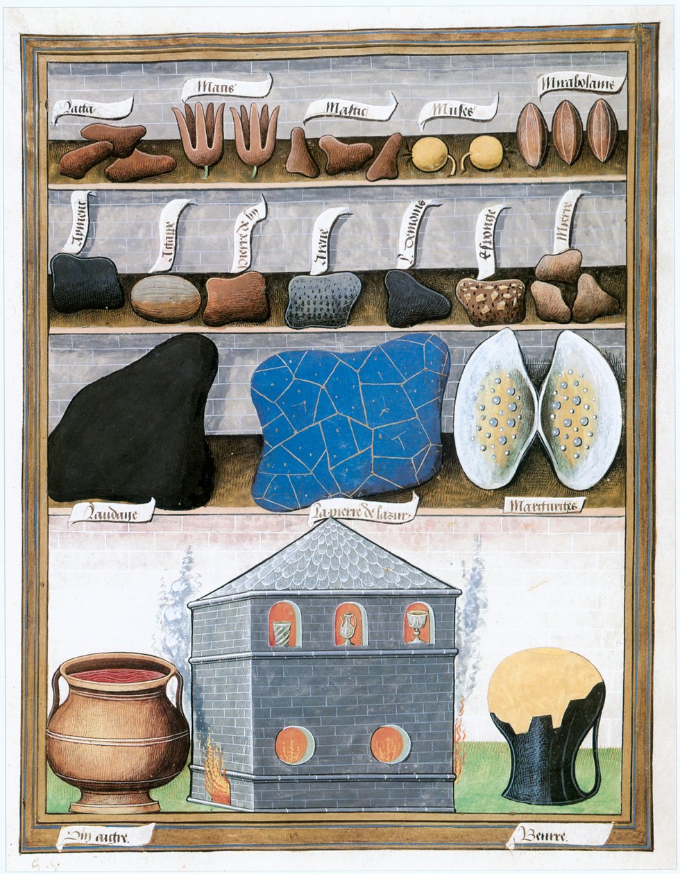  - Matthaeus Platearius