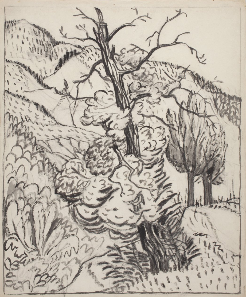 Arbre à flanc de montagne, vers 1930 (pinceau, encre et fusain sur papier vélin blanc cassé) - Maud Hunt Squire