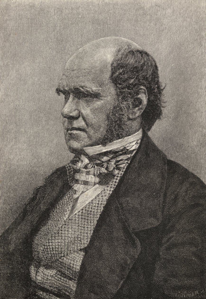 Charles Darwin à 45 ans, illustration de 