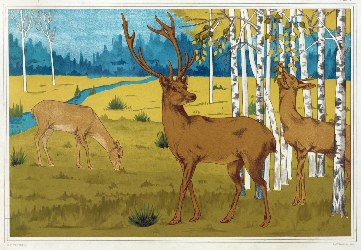 Cerf, de 
