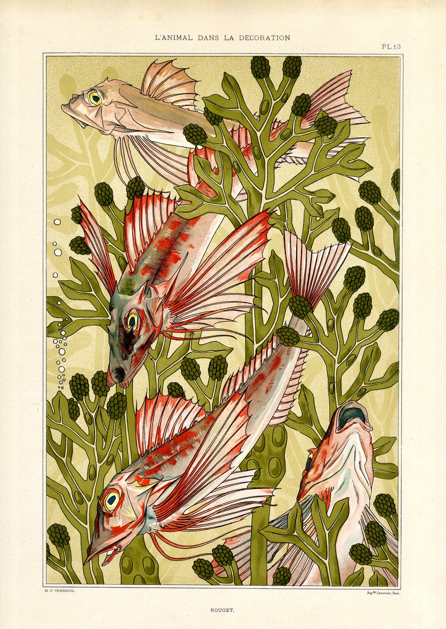 Poisson stylisé parmi des plantes marines (litho) - Maurice Pillard Verneuil