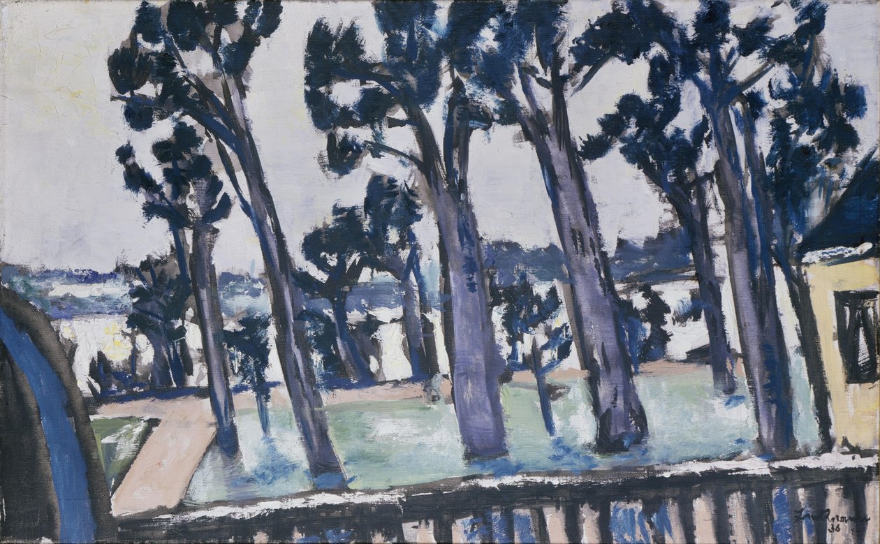 Vue de la Havel depuis le Rupenhorn - Max Beckmann
