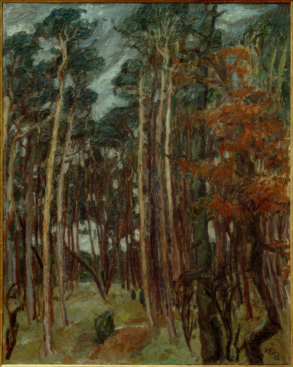 Forêt de Hermsdorf par jour gris - Max Beckmann